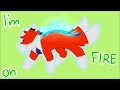 Beginning of video