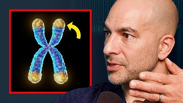 The Longevity Framework: 5 Keys To Living Longer - Dr Peter Attia