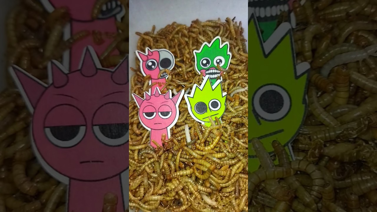 Raddy & Owakcx with Caterpillars!! 