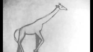 Giraffe walk cycle