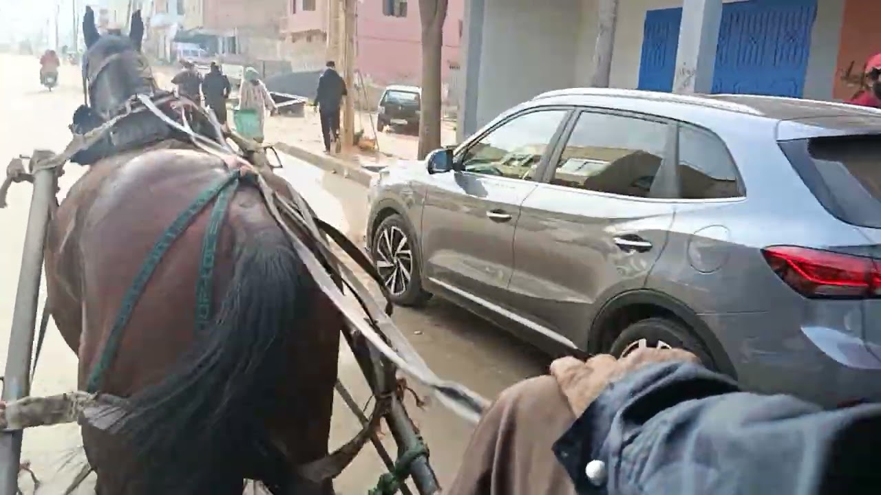 رحله جميله الى السويقه اجمل سوق عندنا