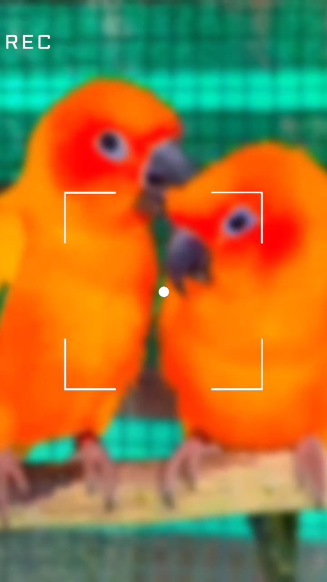 🙏নমস্কার - ShareChat