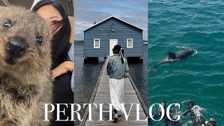 Travel vlog - solo in perth🐬 snorkel w dolphin, rottnest island, fremantle, kings park, kangaroo island 一個人不自駕去西澳