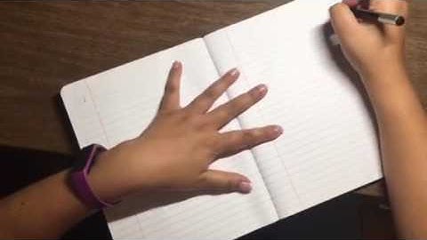 Setting Up Your Interactive Notebook