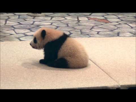 201211優浜モゾモゾ