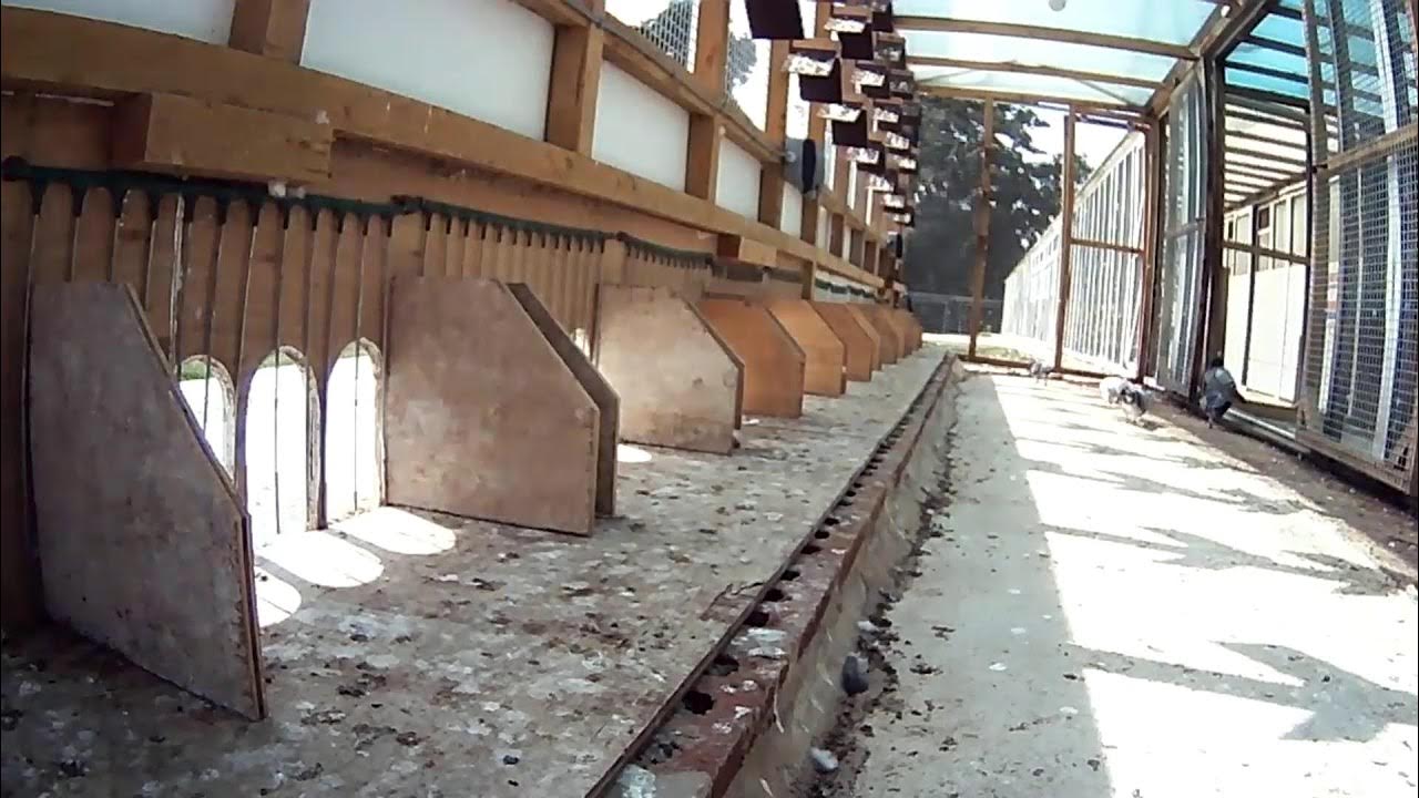 WDW Hot Spot 3 Camera 1 - YouTube