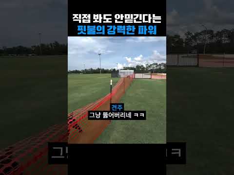 보고도 안믿기는 핏불의 파워 thumbnail