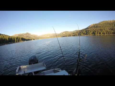 Maddys Donner Lake Trout Maddys Donner Lake Trout