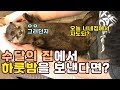 수달 집에서 하룻밤을  보낸다면? / What if you spent a night at the otter&#39;s house?