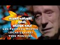 ألأوراق ألميتة . رائعة النجم الكبير  أيف مونتاند Les Feuilles Mortes (Dead Leaves)Yves Montand