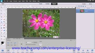 Adobe Photoshop Elements 12 Tutorial Manipulating Images Employee Group Training 13.4