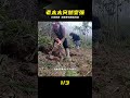 老太太終于知道干活，過幾天就沒有人幫忙啦 #山村生活 #荒野求生 #荒野独居 #求生挑战 #生存挑战 #荒野