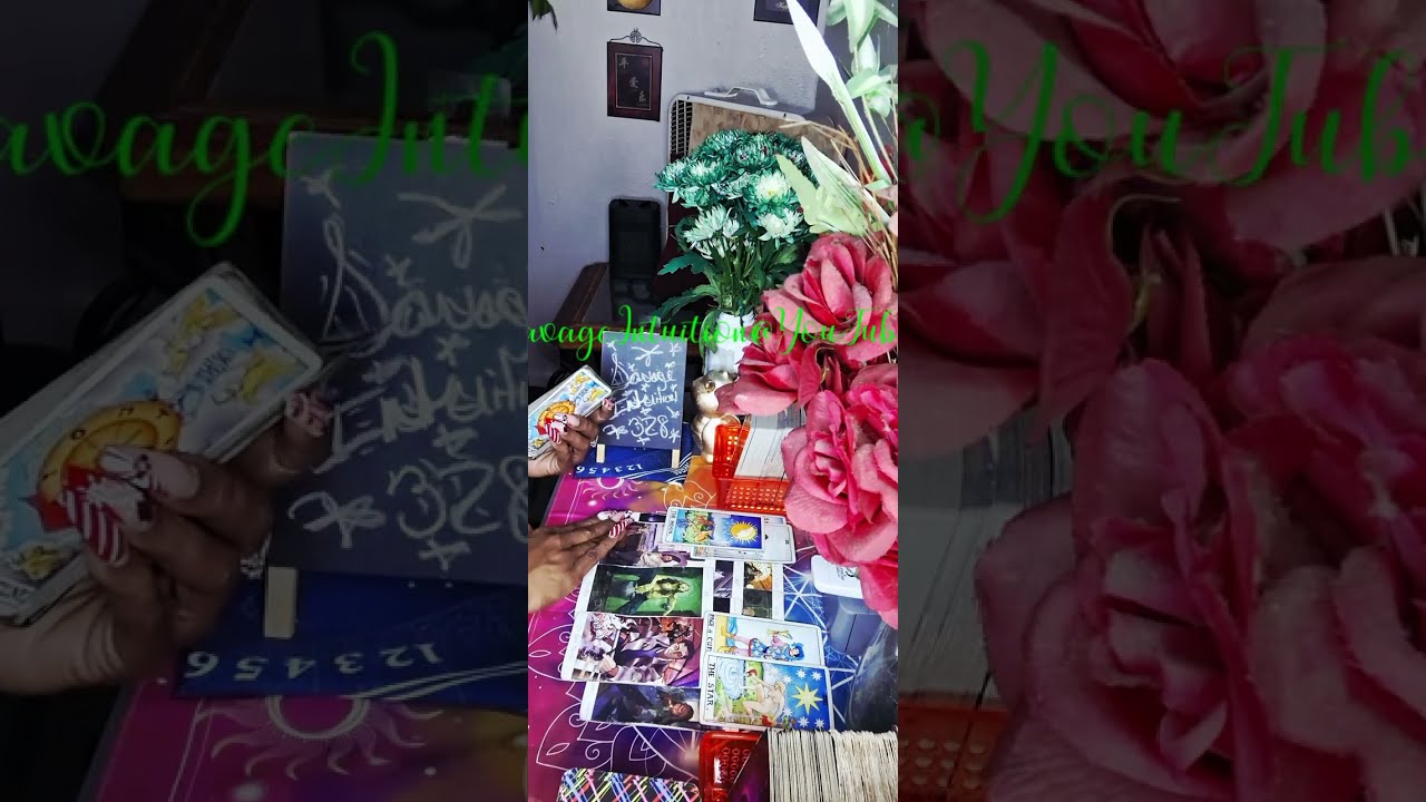 🤣Trying To Argue With You Isnt Working! These People Are😡Thought They Had You Figured Out...