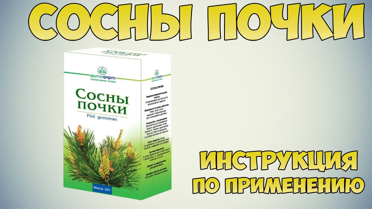 Почки сосны показания. Почки сосны препараты. Почки сосны в аптеке. Отвар почек сосны. Почки сосны польза