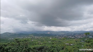 GIẢM GIÁ Bảo Lộc _ phường 3 ( Lộc Châu) vườn cafe 4465m² đh Tôn Đức Thắng 1km.500tr/1000m²