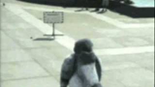 guy in pigeon suit vs old man