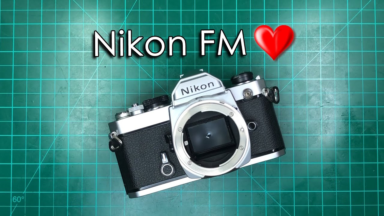 Nikon FM Maintenance Cleaning AND Lightseal Replacement (watch till the