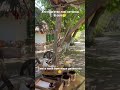 хто пам'ятає такі хатинки