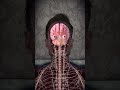 Why Your Body Shakes while you are Sleeping #facts #shorts #science