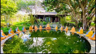 NIKAYA Thiền Quán - Sỉ Nhục Thay ! Sự Sanh Già Bệnh Chết 8 ! Trình Tự Thuyết Pháp Của Chư Phật 1