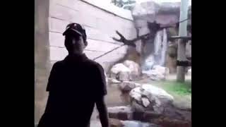 Somebody That I Used to Know Low quality Somebody That I Used To Know Low Quality