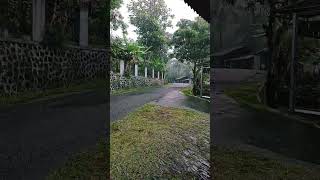 Syahdunya Suasana Pedesaan di Kala Hujan | #shorts #pedesaan #hujan #romantic
