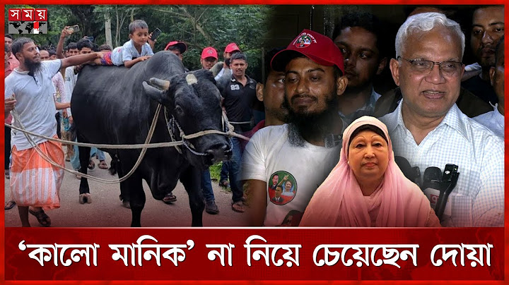 সোহাগ মৃধার ‘কালো মানিক’ গ্রহণ করেননি খালেদা জিয়া | Khaleda Zia | AZM Zahid Hossain | Qurbani Cow