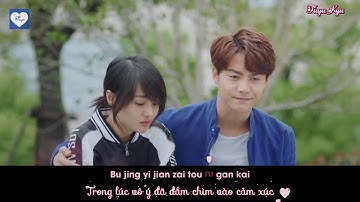 [Vietsub + Kara] [FMV] Tiểu Thuyết Tình Yêu || 爱情小说 ( Bi Thương Ngược Dòng Thành Sông OST)