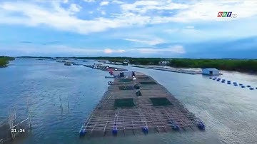 Ký sự 31/10/2025 | Chảy đi sông ơi | Tập 15: Khai thác phát triển nguồn lợi thuỷ sản từ sông Dinh