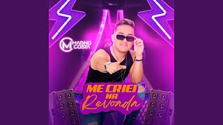 Me Criei na Revoada