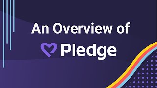 Overview of Pledge's Products