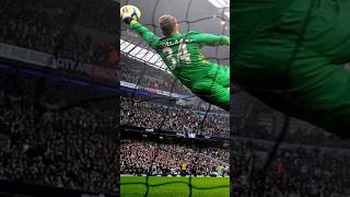 Impressive Goalkeeper Saves