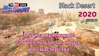 Сбор камней. Black Desert Фарм серебра 2020. Лучница.