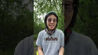 What Nature-Based Education Really Does for Your Child | iNATURE Talk