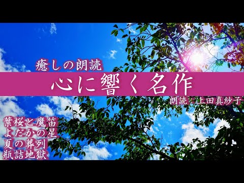 名作文学】心に響く名作朗読 【感動】プロ声優が贈る癒しの朗読 「葉桜
