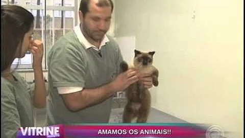 É possível notar a grande presença dos animais em ambientes familiares e ela cresce em volume e em diversidade à medida que aumenta a quantidade de lares no País isso pode representar o tamanho da importância que esses animais detém na vida dos humanos e na sociedade considerada urbana moderna Moura 2013?