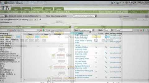Capgemini - Social Insight Into Action