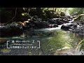 ポモドーロタイマー・自然映像と柔らかなチェロ+水音（信州安曇野の森）Pomodoro timer with soft cello and water sounds