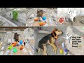 Dog toys cat toys goat and home funny  violation97sss youtube channel india village viral funny