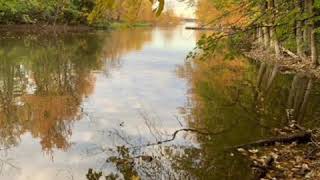 Vakitsiz Bir Sonbahar