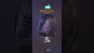 Shakira Va Con Sus Hijos A Restaurante Y Sus Fans Se Emocionan