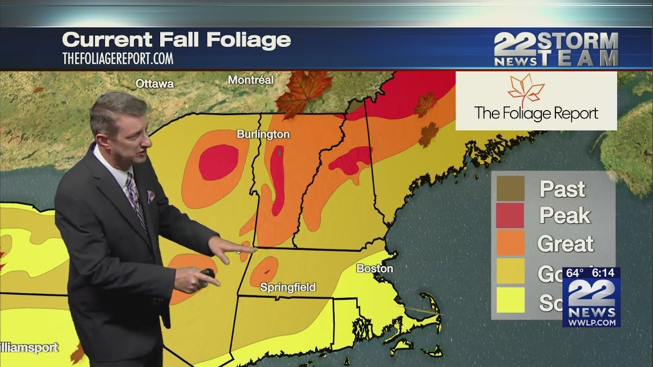 Status of fall foliage across western Massachusetts