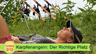 Karpfenangeln, Der Richtige Angelplatz