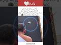 Pigeon Sitting on Kaaba 🤍 | Peaceful & Rare Scene | Beautiful Ziyarat Moment | Shorts#inspiration