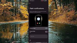 How to Set the Flash Notifications on Google Pixel 6a screenshot 3