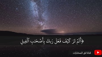 تلاوة خاشعة من سورة الفيل.القارئ عبدالرحمن عبدالله
