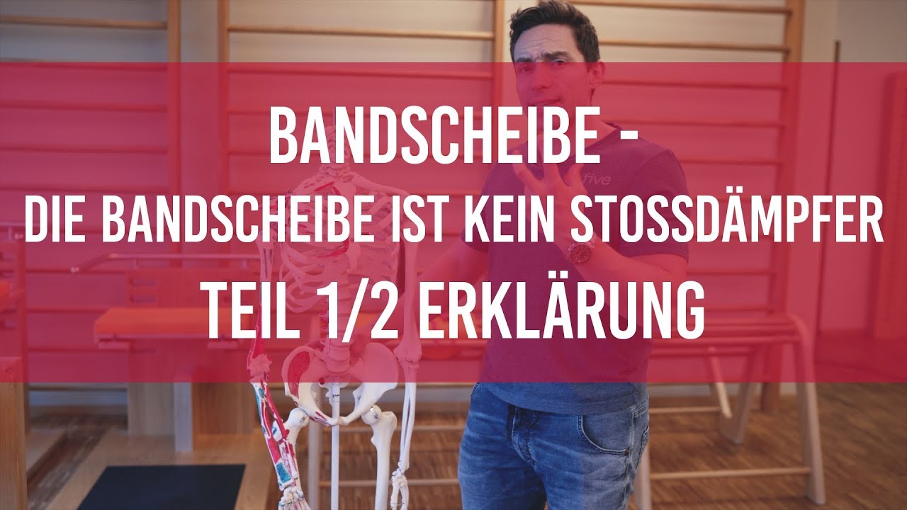 Bandscheibe Teil 1/2 - Funktion der Bandscheibe verstehen 🔸Bandscheibenvorfall