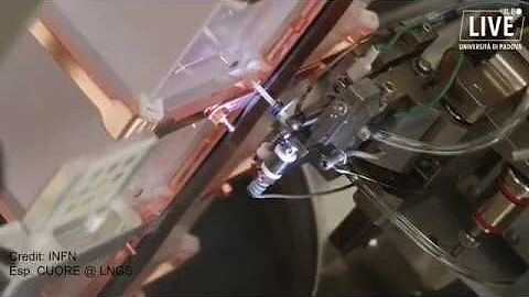 Chi è Rolando Pelizza?