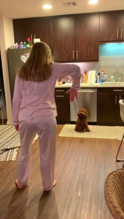 Funny Videos 💋Lele Pons 😍Tiktok 2021💕 #beauty #funnyvideo #lelepons #leleponsvines #castLele #Shorts