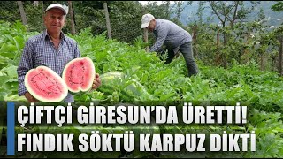 Tatsız Olur Dediler Tadına Bayıldılar Giresunda Fındığı Söktü Karpuz Dikti / Agro Tv Haber